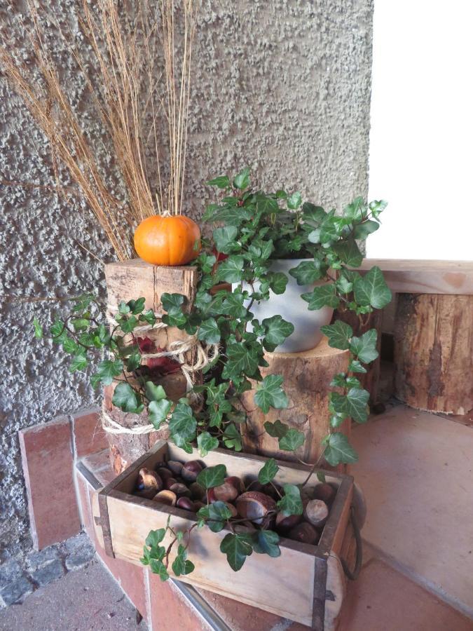 Appartamento Haus Sternblick Bischofswiesen Esterno foto